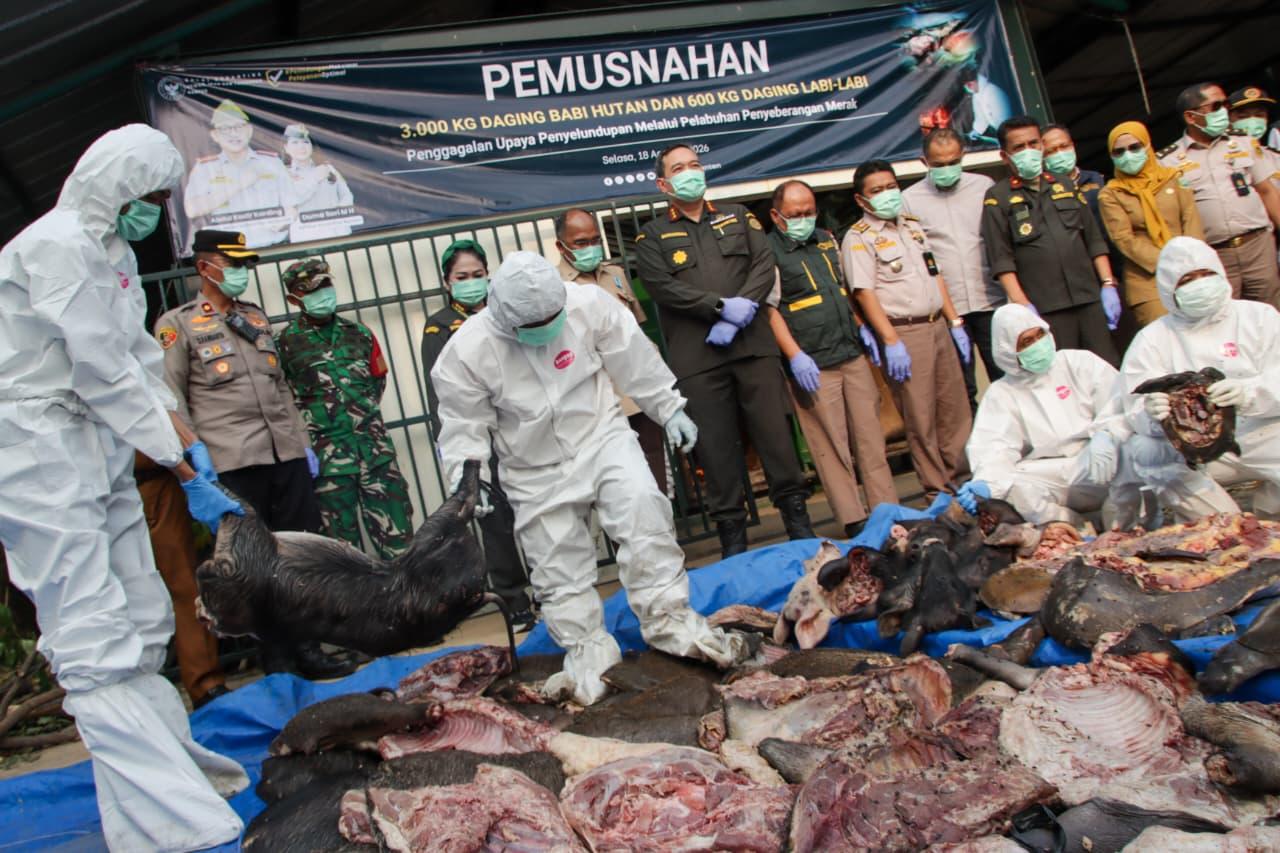 Dibawa dari Jambi ke Semarang, 3 Ton Daging Babi Hutan dan 600 Kg Labi-labi Tanpa Dokumen Digagalkan di Merak