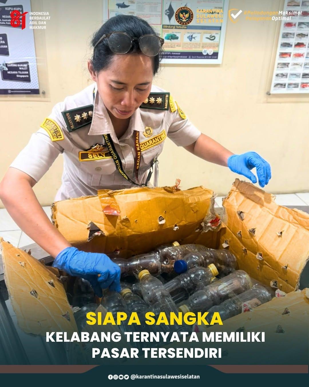 Siapa Sangka, Kelabang Ternyata Memiliki Pasar Tersendiri