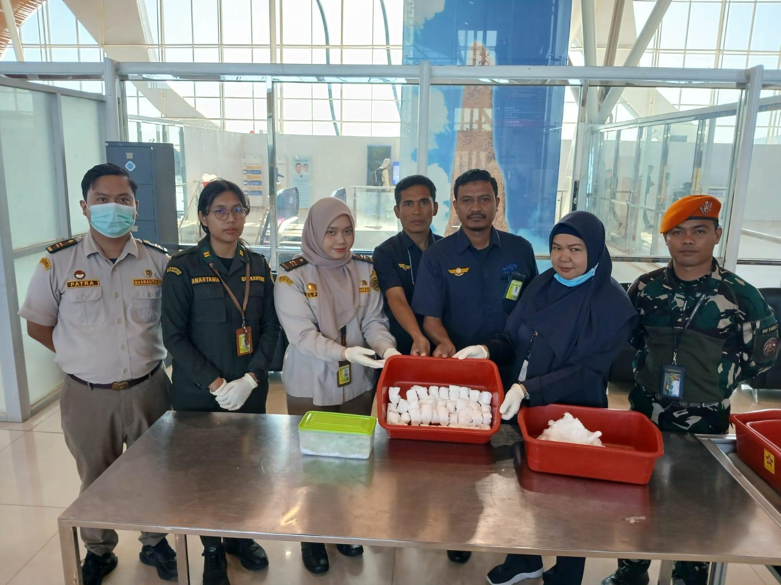 Barantin Gagalkan Pengeluaran 115 Telur Burung Paruh Bengkok dari Merauke