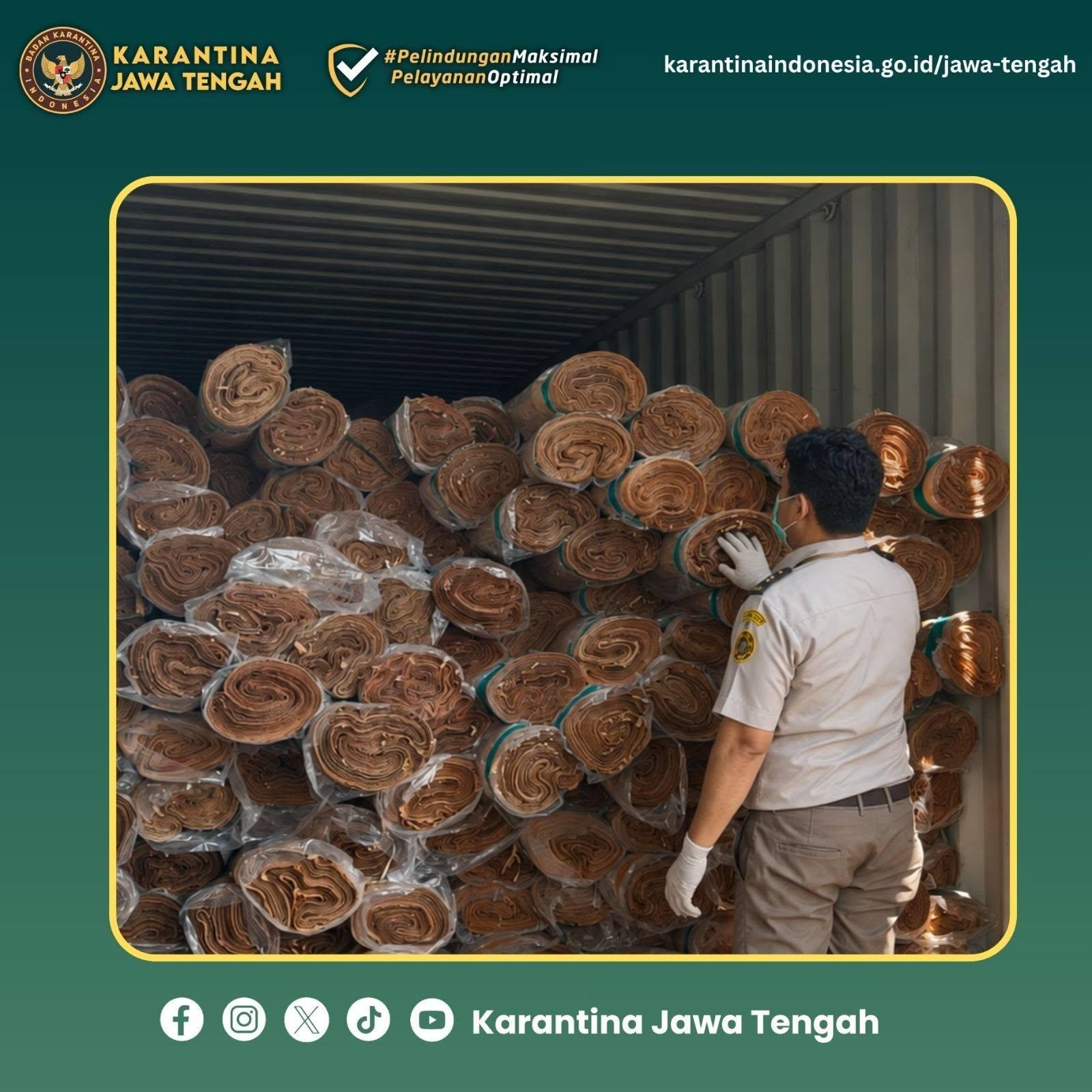 Veneer Komoditas Unggulan Siap Berlayar ke Pasar Internasional