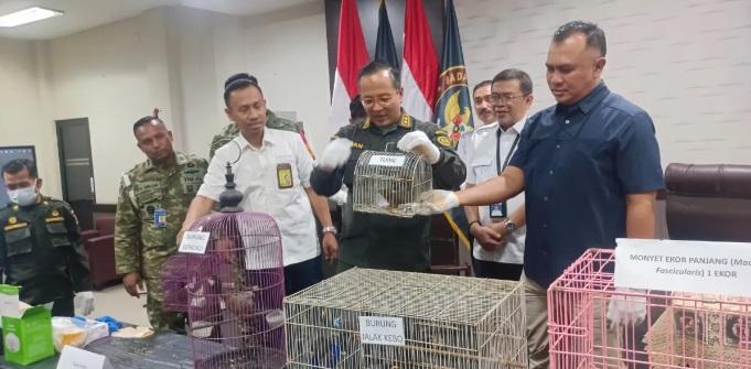2 Hari Berturut-turut, Barantin Amankan Kera, Burung hingga Tupai Tanpa Dokumen di Jatim