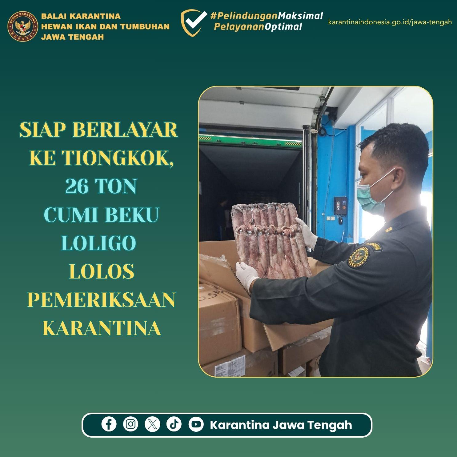 Siap Berlayar Ke Tiongkok, 26 Ton Cumi Beku Loligo Lolos Pemeriksaan Karantina