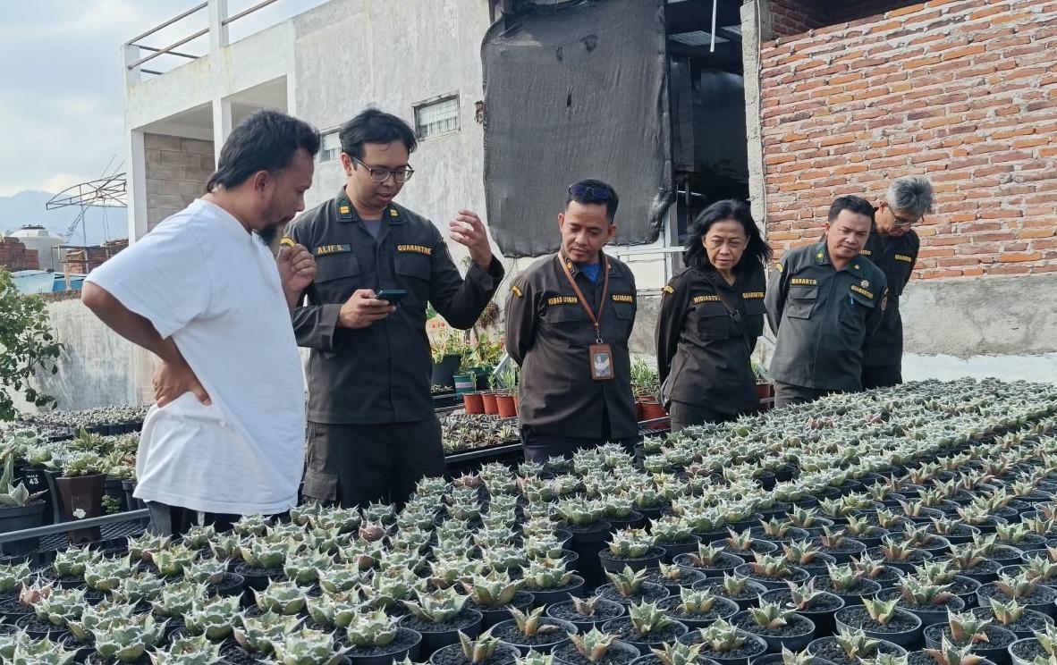Jaga Ekspor Tanaman Hias Jatim Senilai Rp9,21 Miliar, Barantin Benahi Traceability dari Nursery