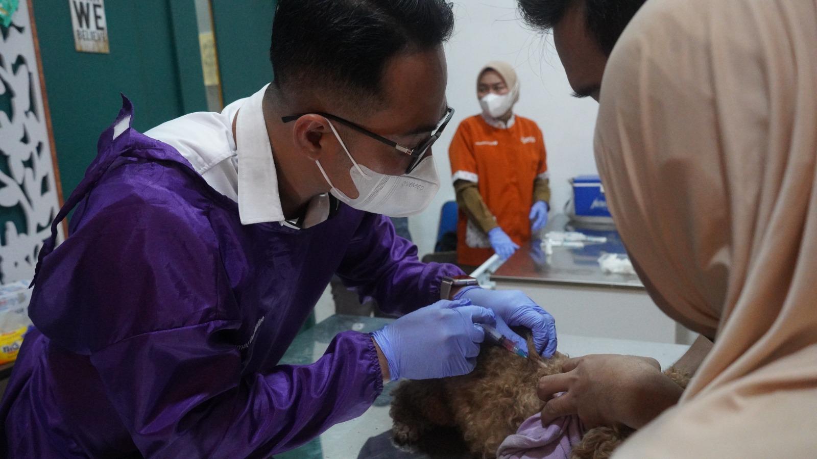 96 Hewan Sudah Divaksin, Karantina Sumsel Kejar Target Bebas Rabies 2030