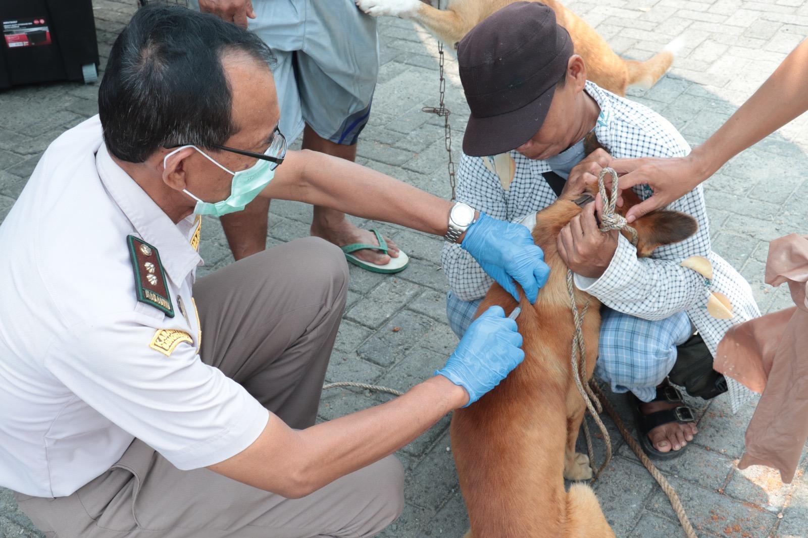 Karantina Bengkulu Gelar Vaksinasi Rabies Gratis di Pulau Baai, Warga Antusias