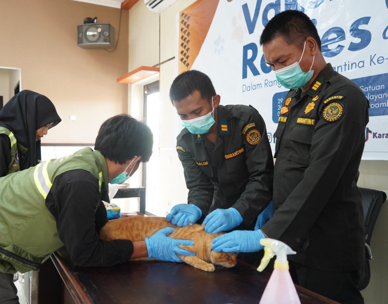 Tekan Risiko Rabies di Kendari, Karantina Sultra Fasilitasi Vaksinasi Hewan Peliharaan Gratis