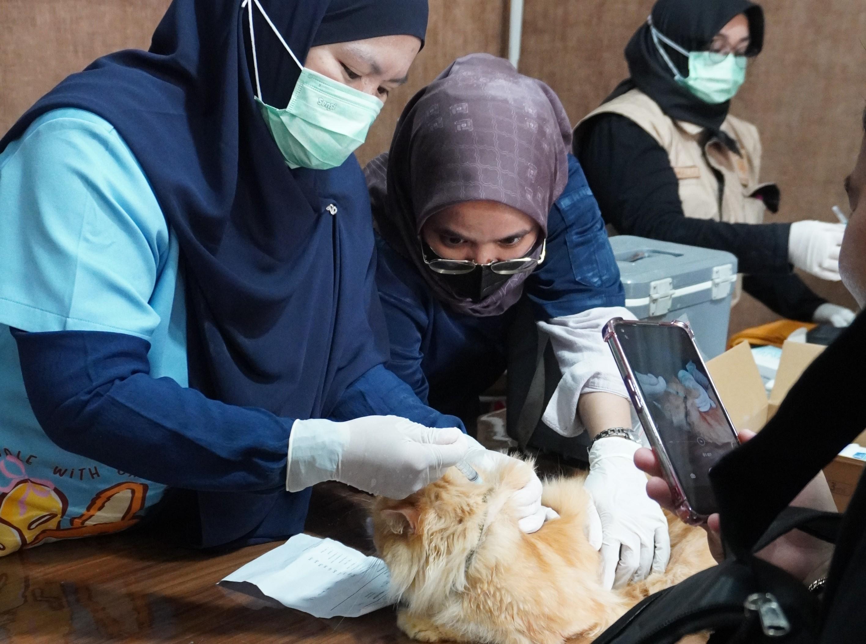 Semarak Hari Rabies Sedunia dan Hari Karantina ke-149, Karantina Kaltim Bersama Lintas Instansi Gelar Vaksinasi Rabies Gratis di Samarinda