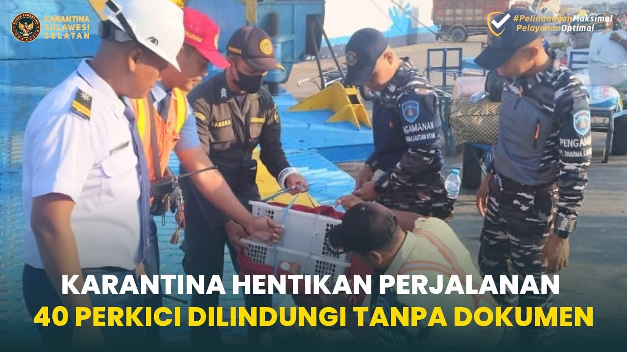 Karantina Hentikan Perjalanan 40 Perkici Dilindungi Tanpa Dokumen
