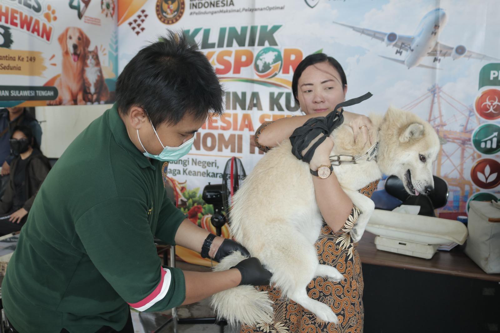 Sulawesi Tengah Belum Bebas Rabies, Barantin Siapkan 100 Dosis Vaksin Gratis