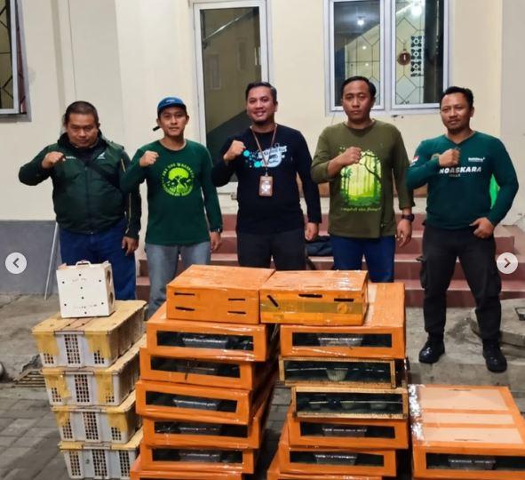 Dini Hari di Tanjung Emas, Karantina Jateng Periksa KM Kirana Temukan 588 Burung Tanpa Dokumen
