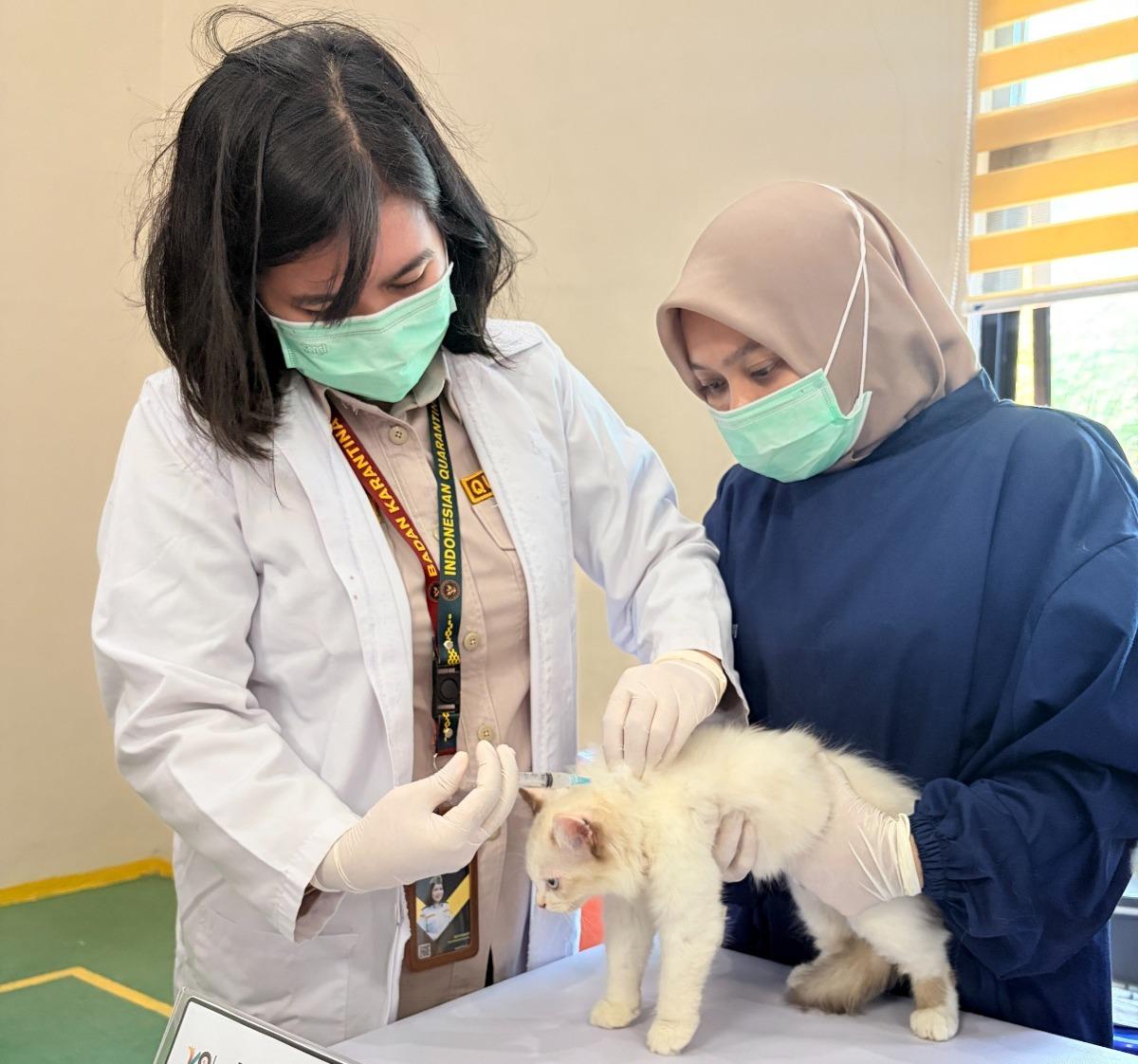 Jangan Tunggu Rabies Mengancam, Barantin Ajak Warga Mamuju Vaksin Hewan Peliharaan