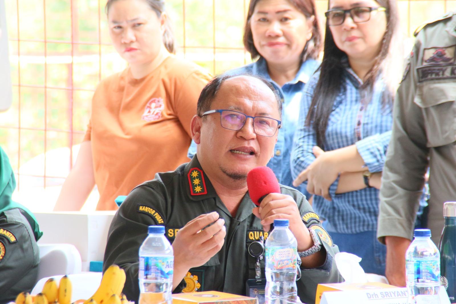 Pulihkan Peternakan Babi Sulut Pascawabah ASF, Komisi IV dan Barantin Perkuat Breeding-Biosekuriti