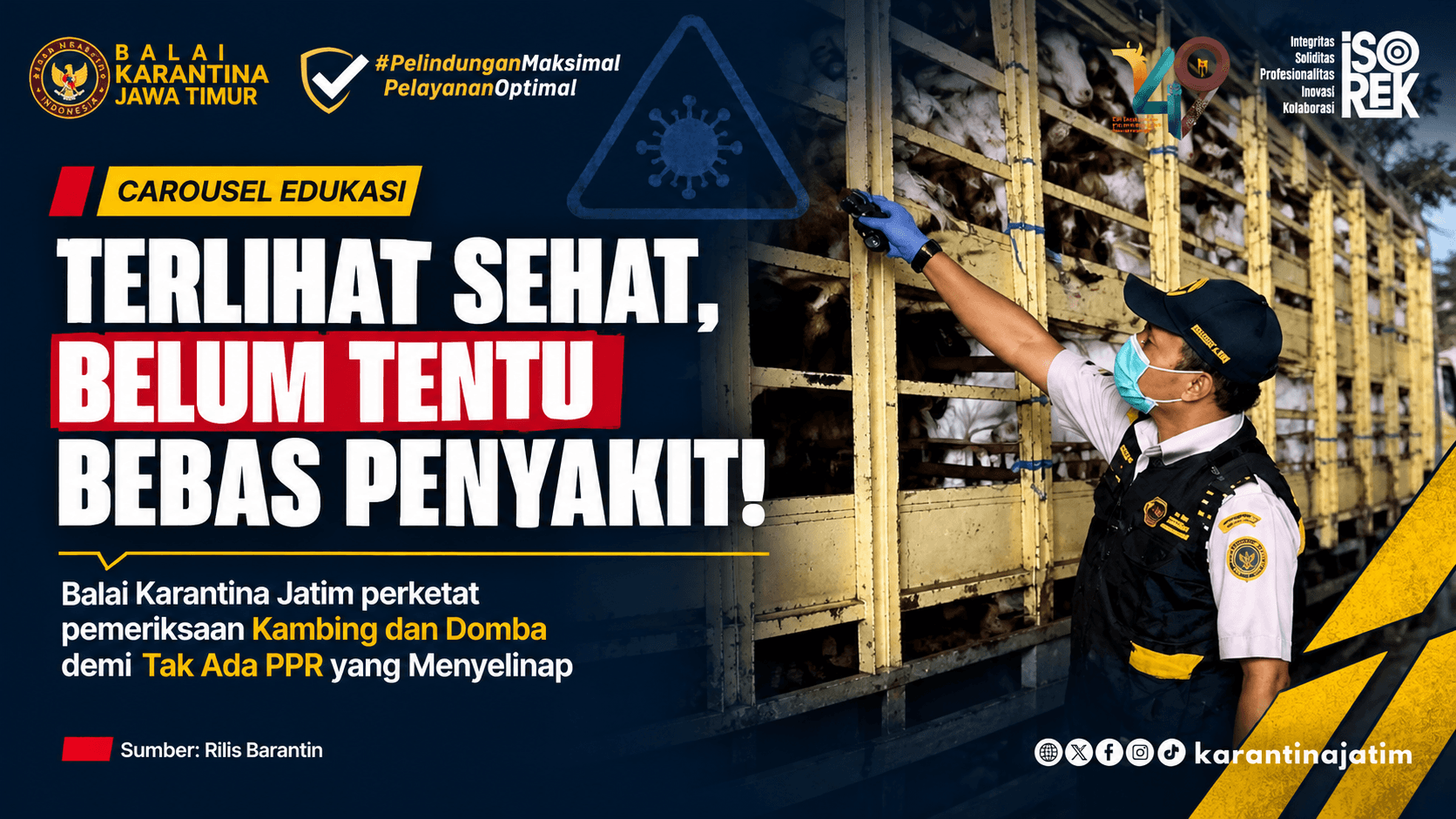 Waspadai PPR, Karantina Jatim Perketat Pemeriksaan Kambing dan Domba