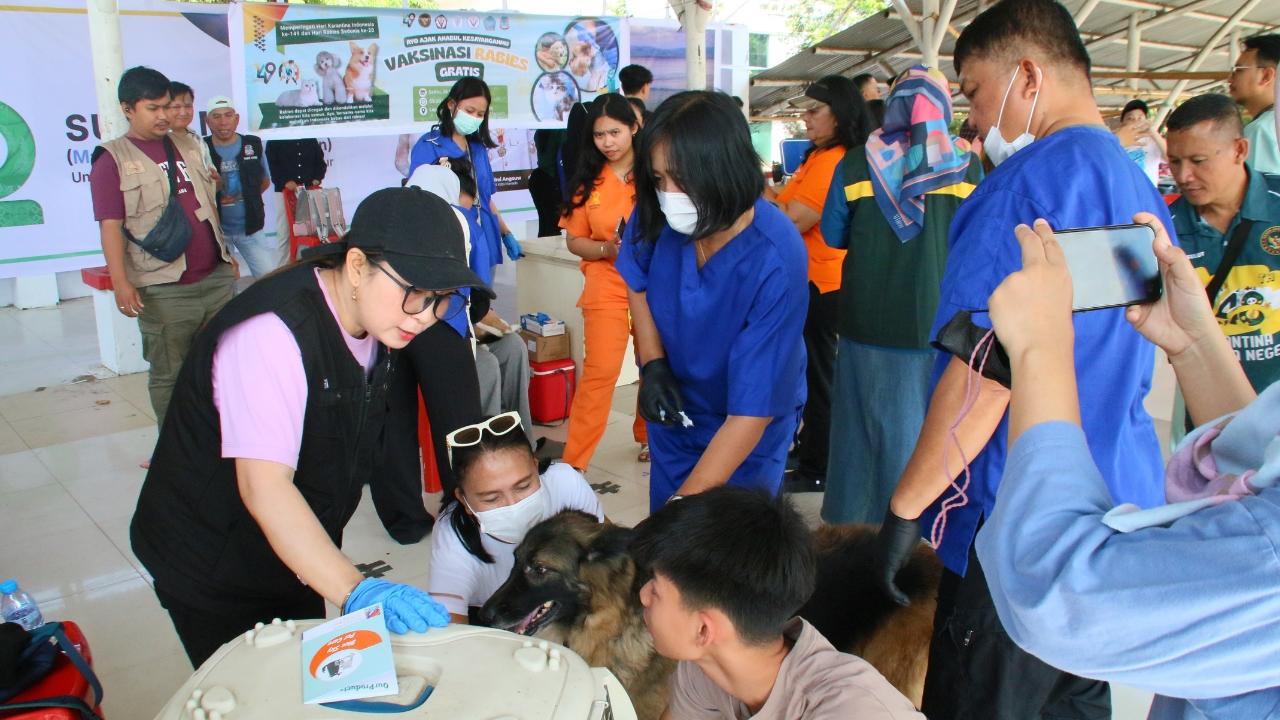 149 Tahun Karantina, 149 Hewan Di vaksin Rabies gratis di Manado