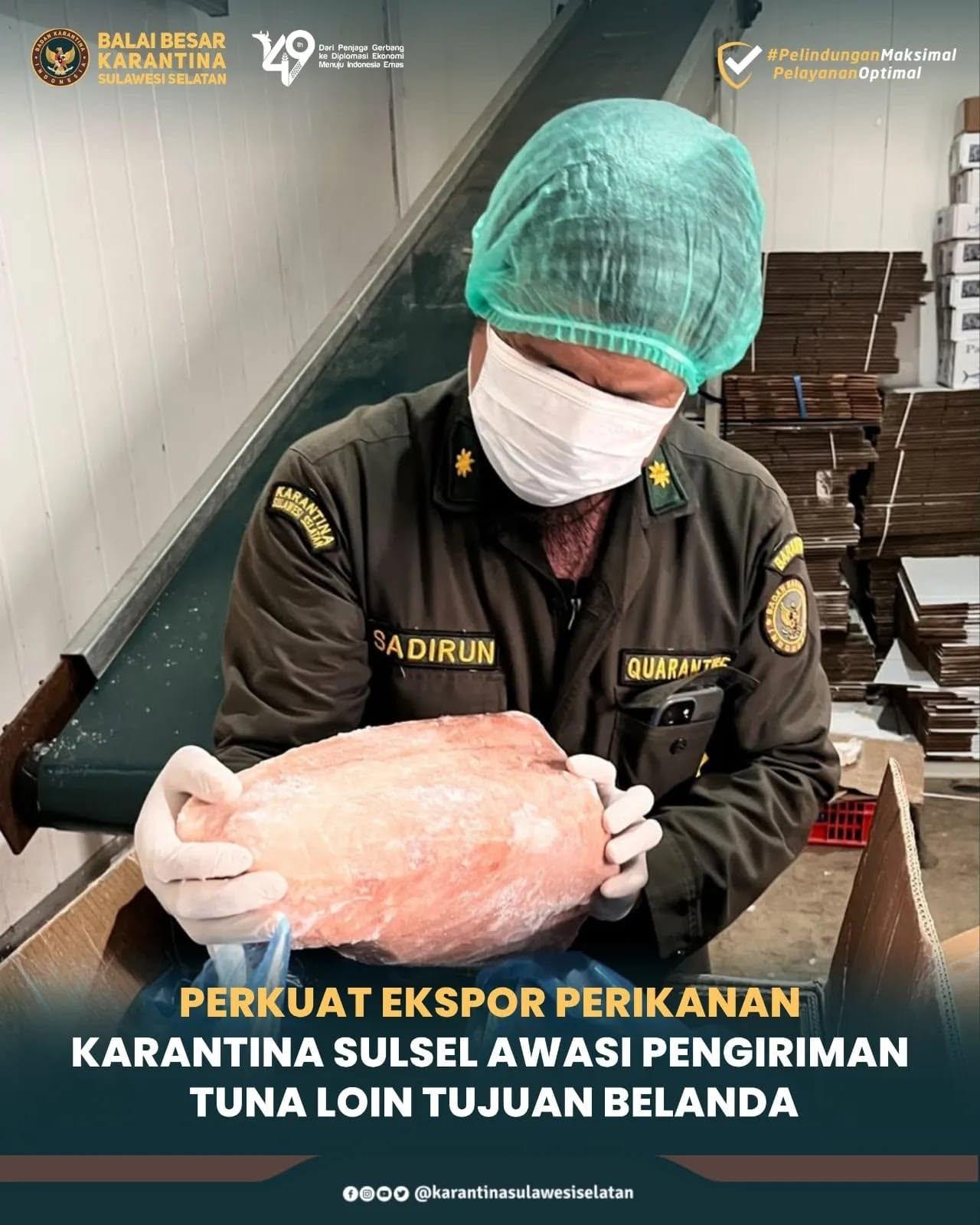 Perkuat Ekspor Perikanan, Karantina Sulsel Awasi Pengiriman Tuna Loin Tujuan Belanda