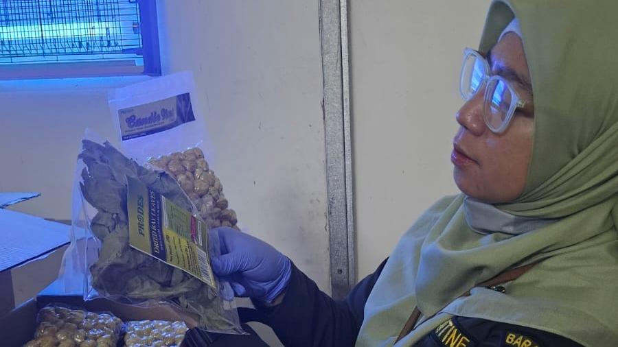 Karantina DKI Jakarta Periksa Kemiri dan Daun Salam Tujuan Australia