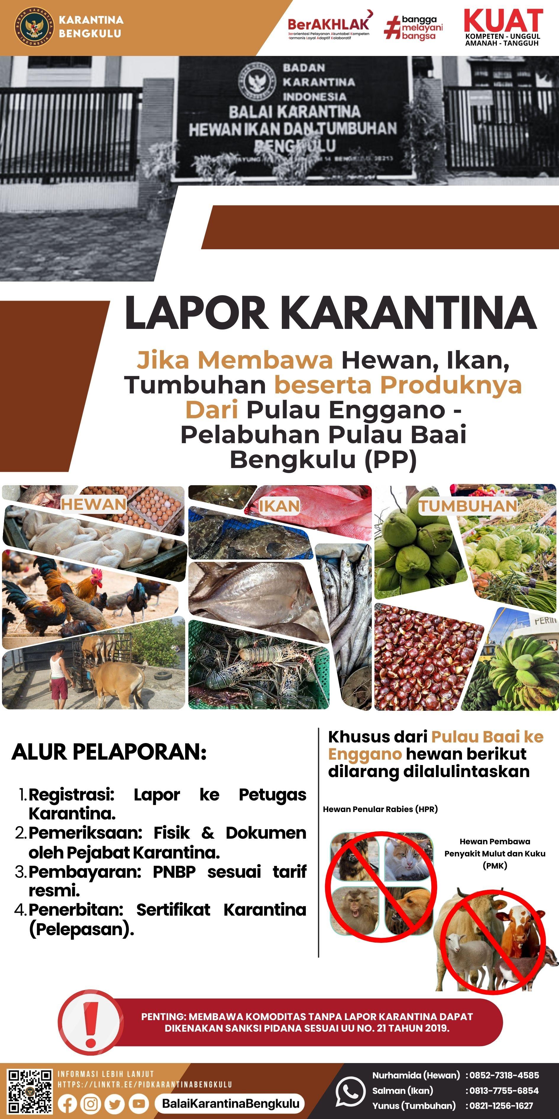 Lapor Karantina 