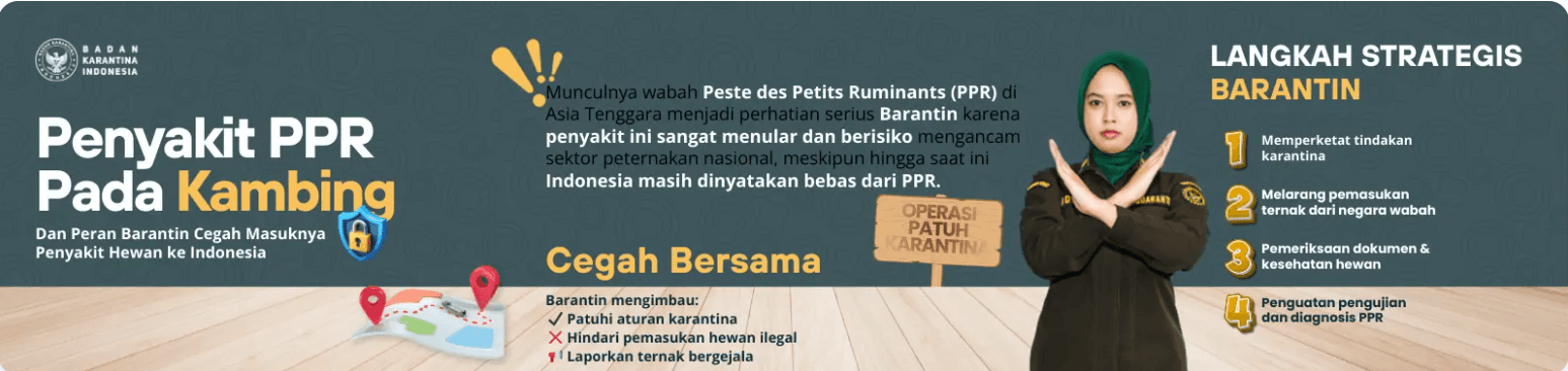 Penyakit PPR