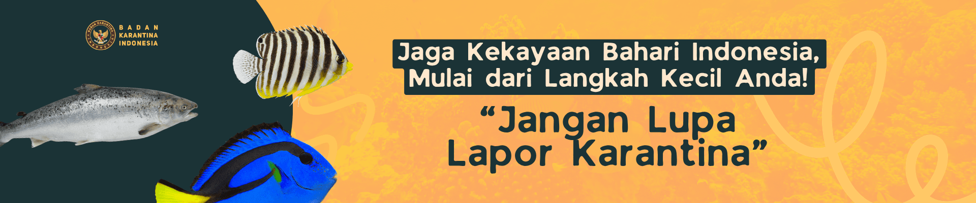 Lapor Karantina