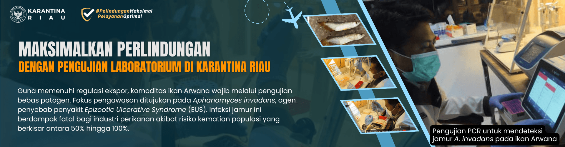 Memaksimalkan Perlindungan Dengan Pengujian Laboratorium di Karantina Riau