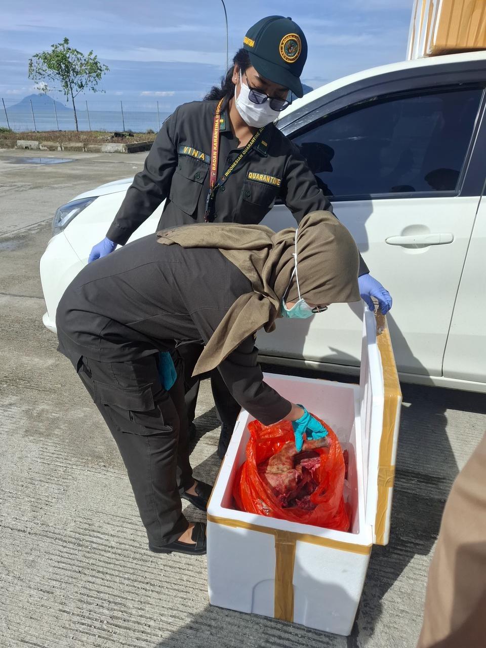 Karantina Maluku Utara Tahan 150 kg Daging Anjing Tanpa Dokumen Resmi