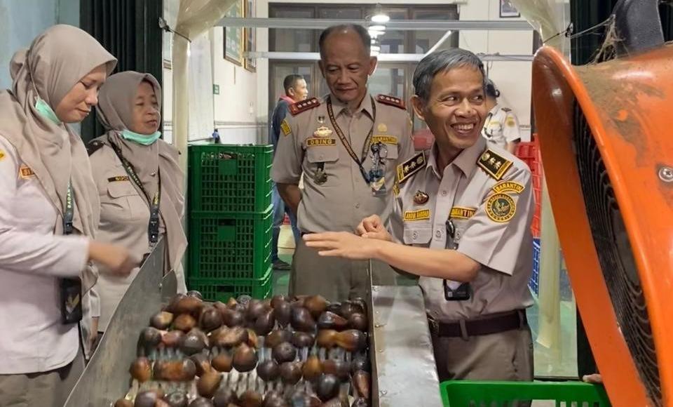 Sebelum Dikirim ke Tiongkok, Salak Yogyakarta Harus Lolos Pemeriksaan Ketat