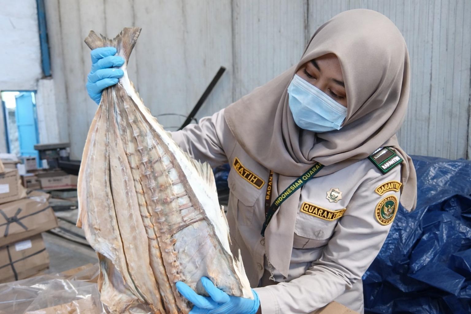 Ekspor 15 Ton Ikan Asin Indonesia Tembus Pasar Sri Lanka