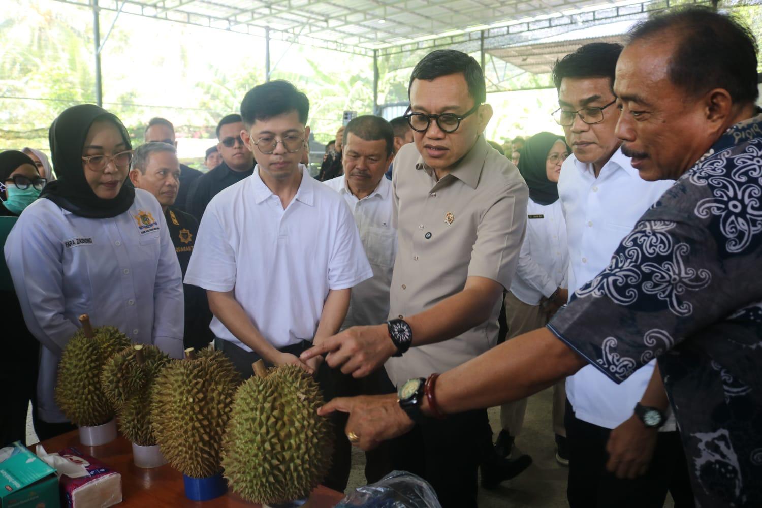 Karantina Indonesia Kawal Sukses Ekspor Durian Parigi Moutong Ke Pasar Global