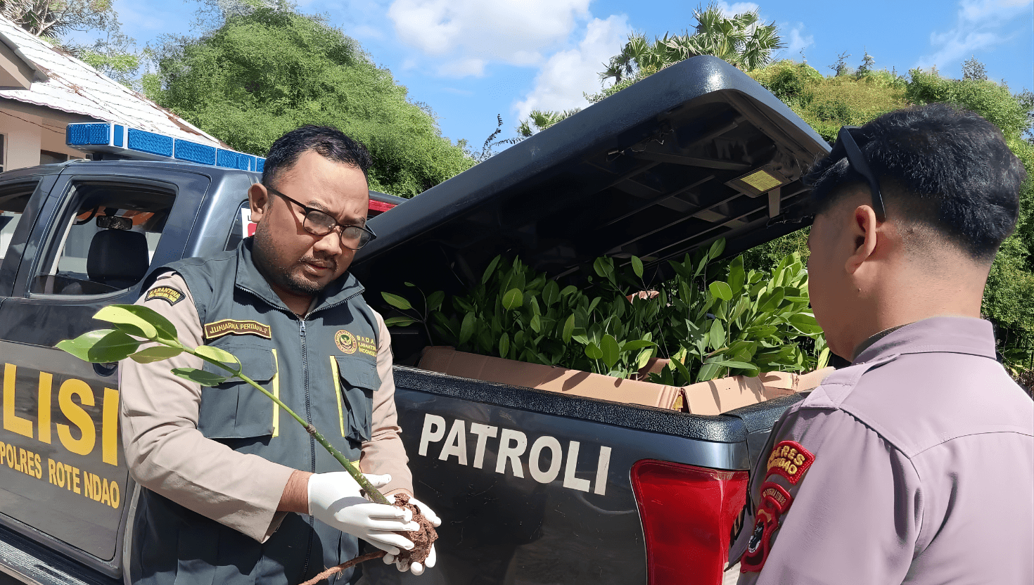 Dukung Pelestarian Lingkungan, Karantina NTT Sertifikasi Pengiriman Bibit Mangrove dari Rote ke Kupang