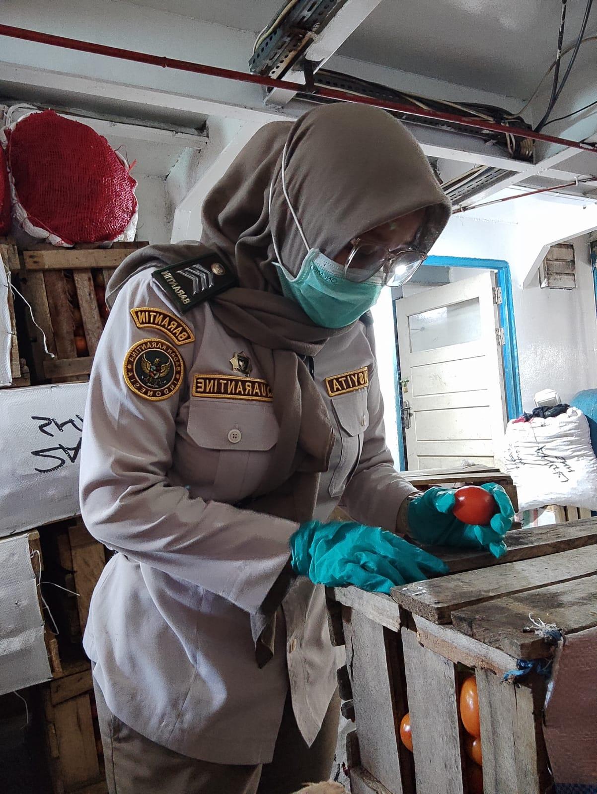 Pastikan Keamanan, Satuan Pelayanan Sanana Periksa Ratusan Kilogram komoditas asal Manado