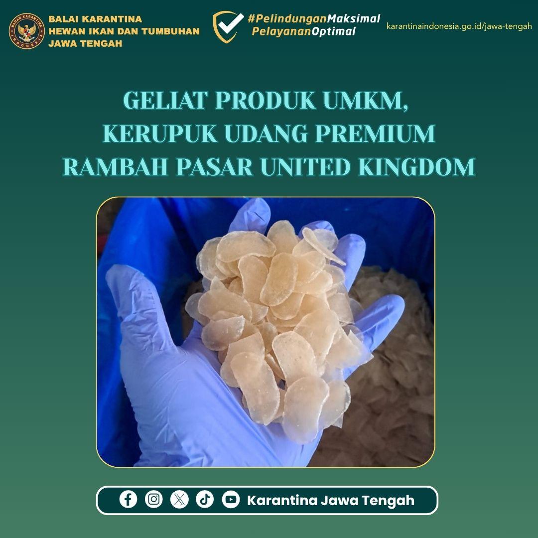 Geliat Produk UMKM, Kerupuk Udang Premium Rambah Pasar United Kingdom