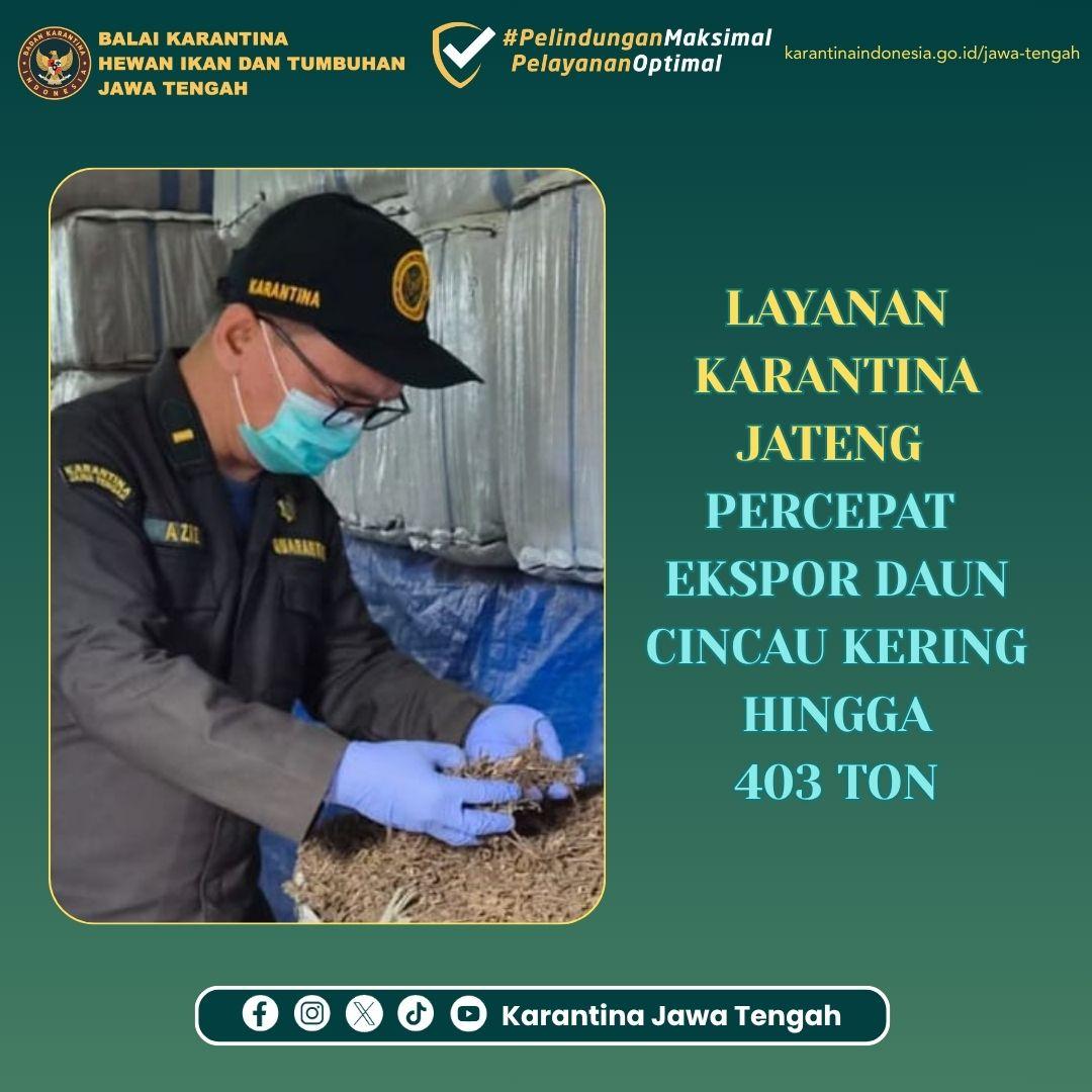 Layanan Karantina Jateng Percepat Ekspor Daun Cincau Kering hingga 403 Ton