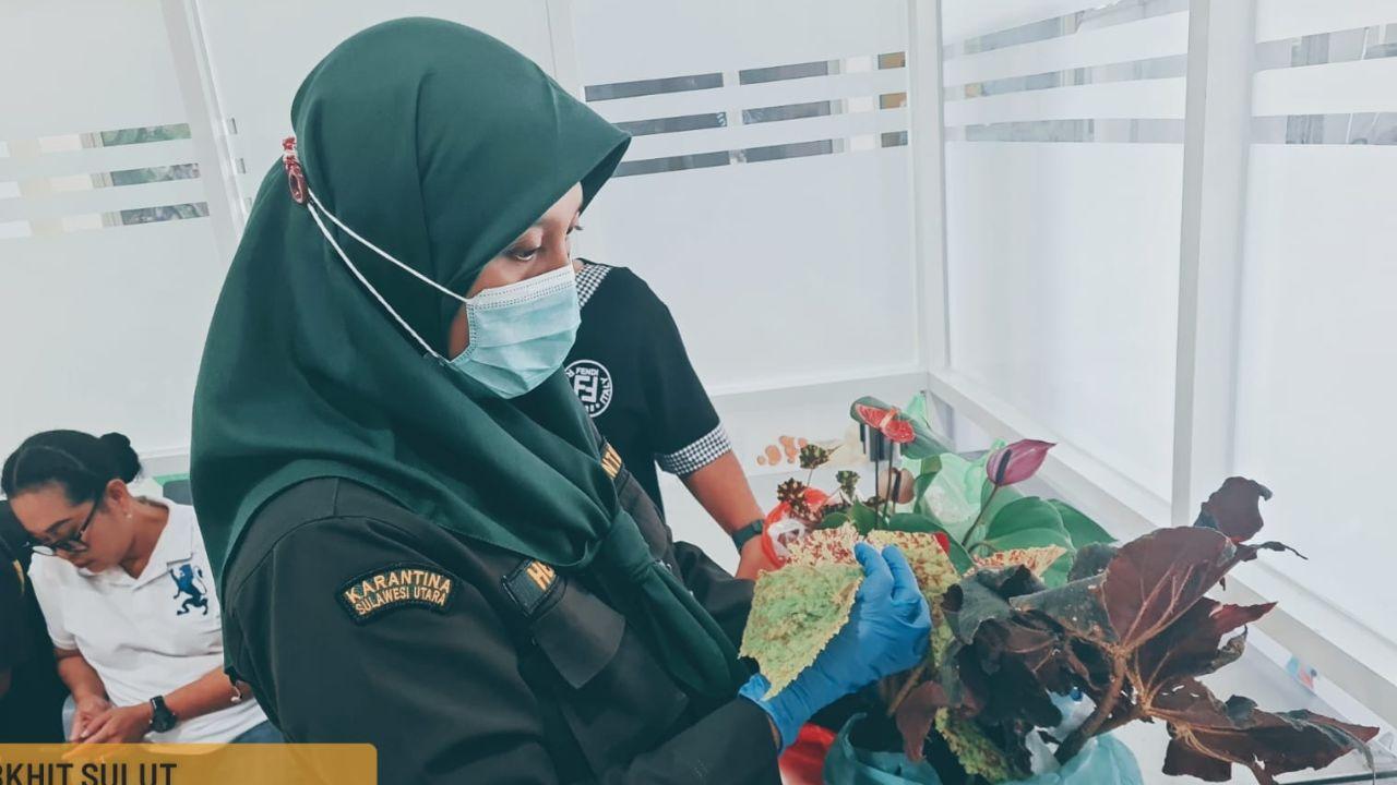 Pecinta Tanaman Hias Wajib Tahu, Ini Langkah Mudah Urus Dokumen Karantina pada pengiriman domestik