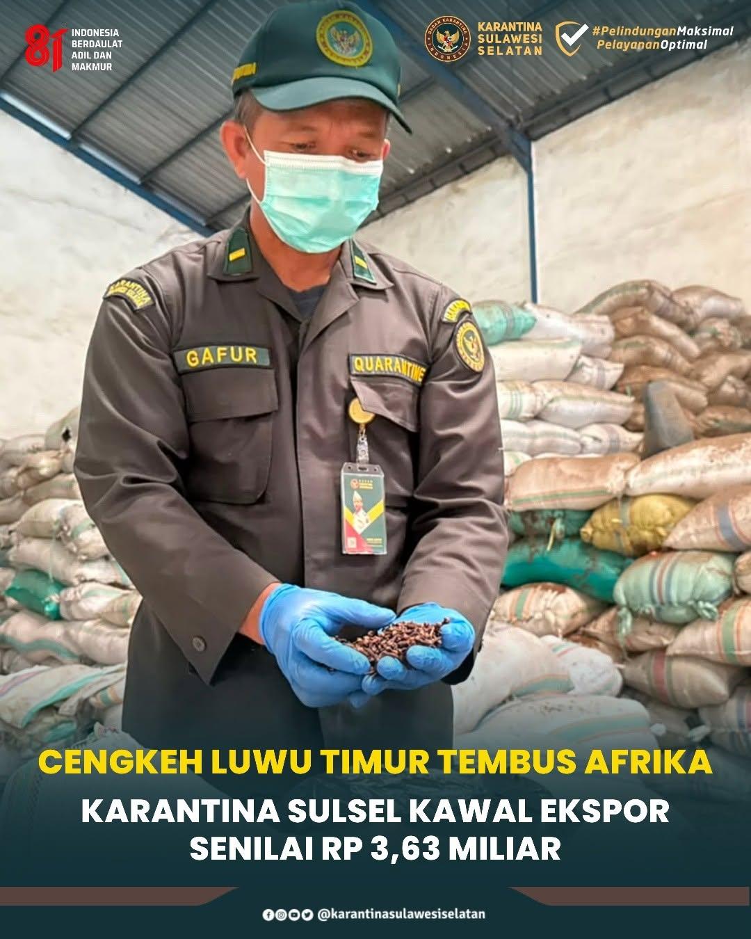 Cengkeh Luwu Timur Tembus Afrika, Karantina Sulsel Kawal Ekspor Senilai Rp3,63 Miliar