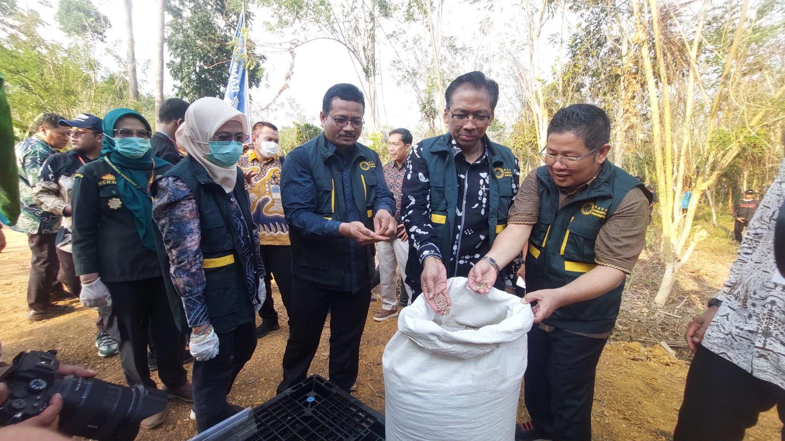 Barantin Dorong Lada Bangka Tembus Pasar Belanda, Harapkan Ekspor Langsung dari Bangka Belitung