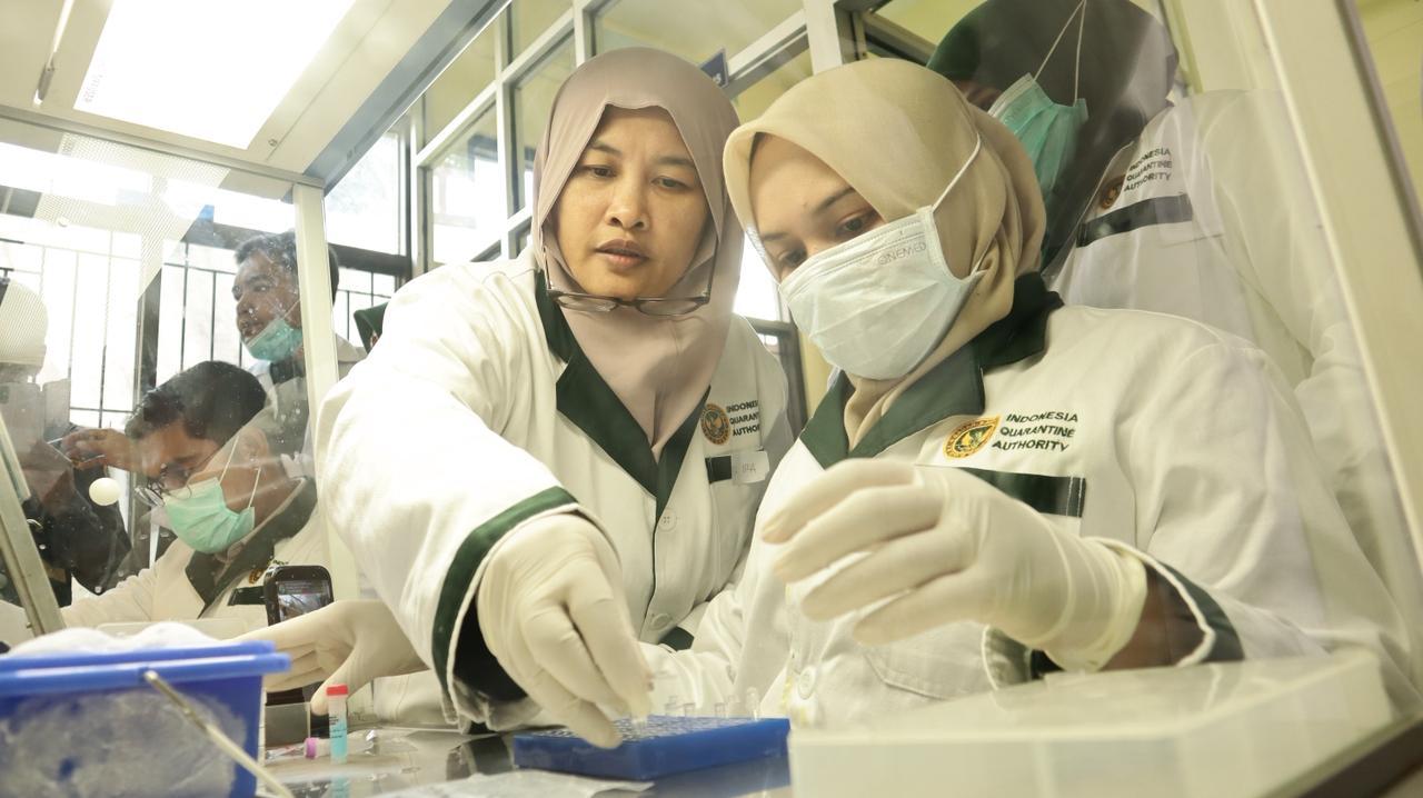 Tingkatkan Kompetensi Laboratorium, Karantina Maluku Gelar IHT Penerapan Metode RT-PCR