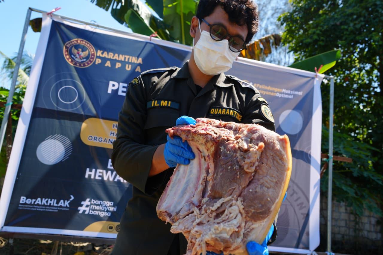Cegah Risiko ASF-Flu Burung, Barantin Musnahkan Daging Babi dan Bebek Ilegal di Papua