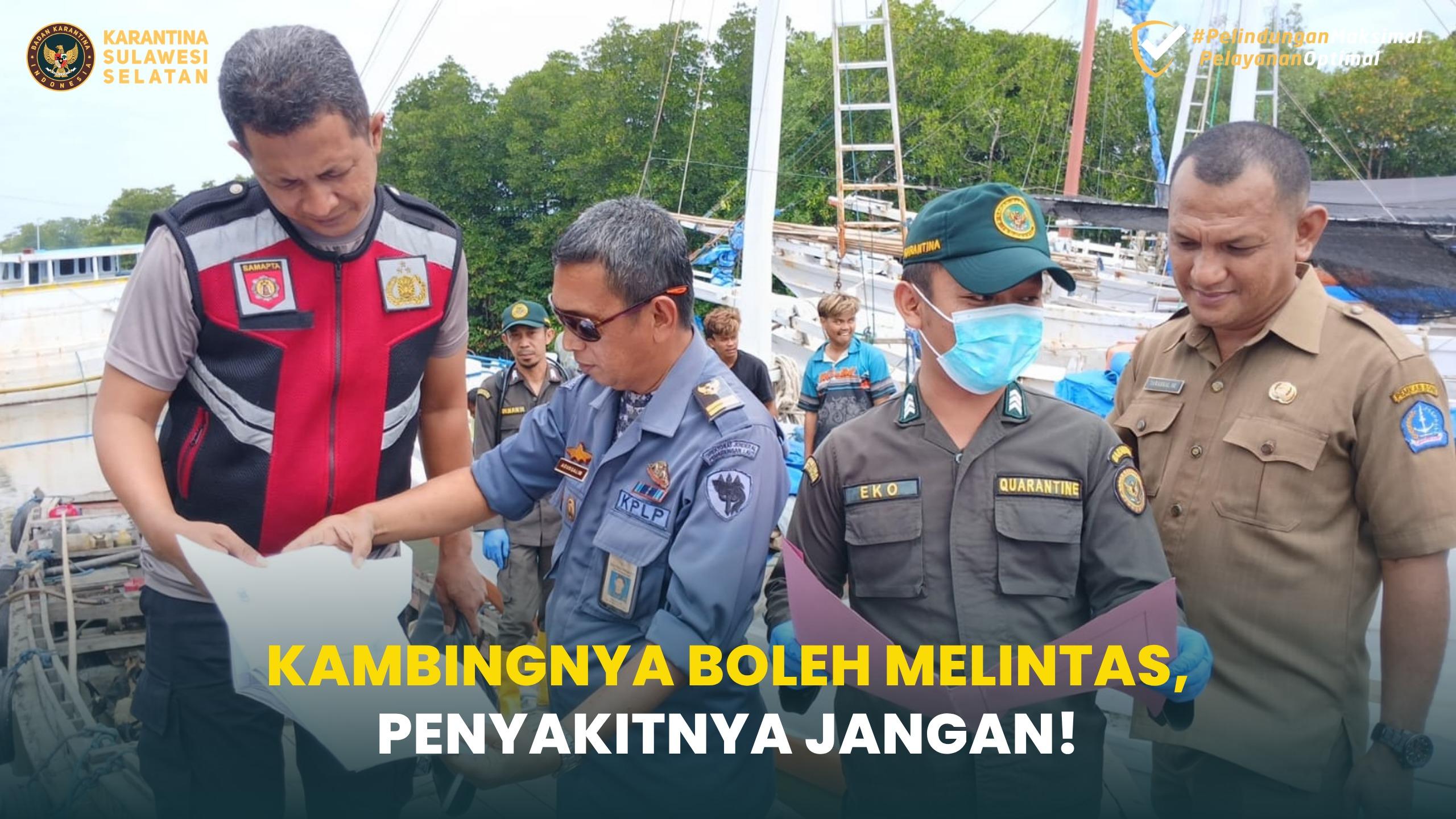 Kambingnya Boleh Melintas, Penyakitnya Jangan!
