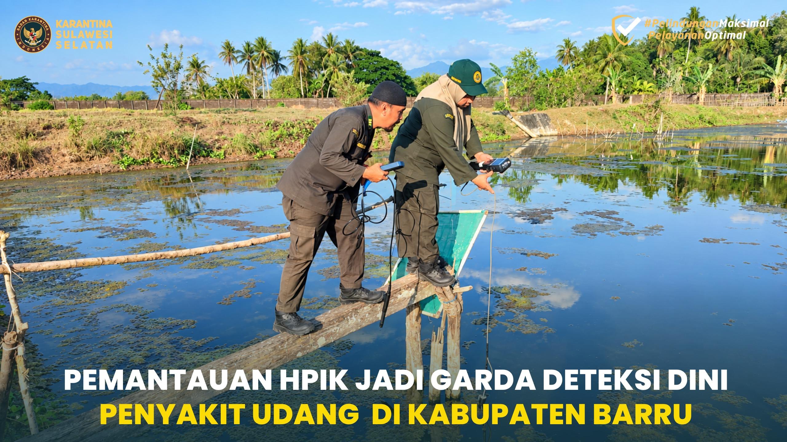 Pemantauan HPIK Jadi Garda Deteksi Dini Penyakit Udang di Kabupaten Barru