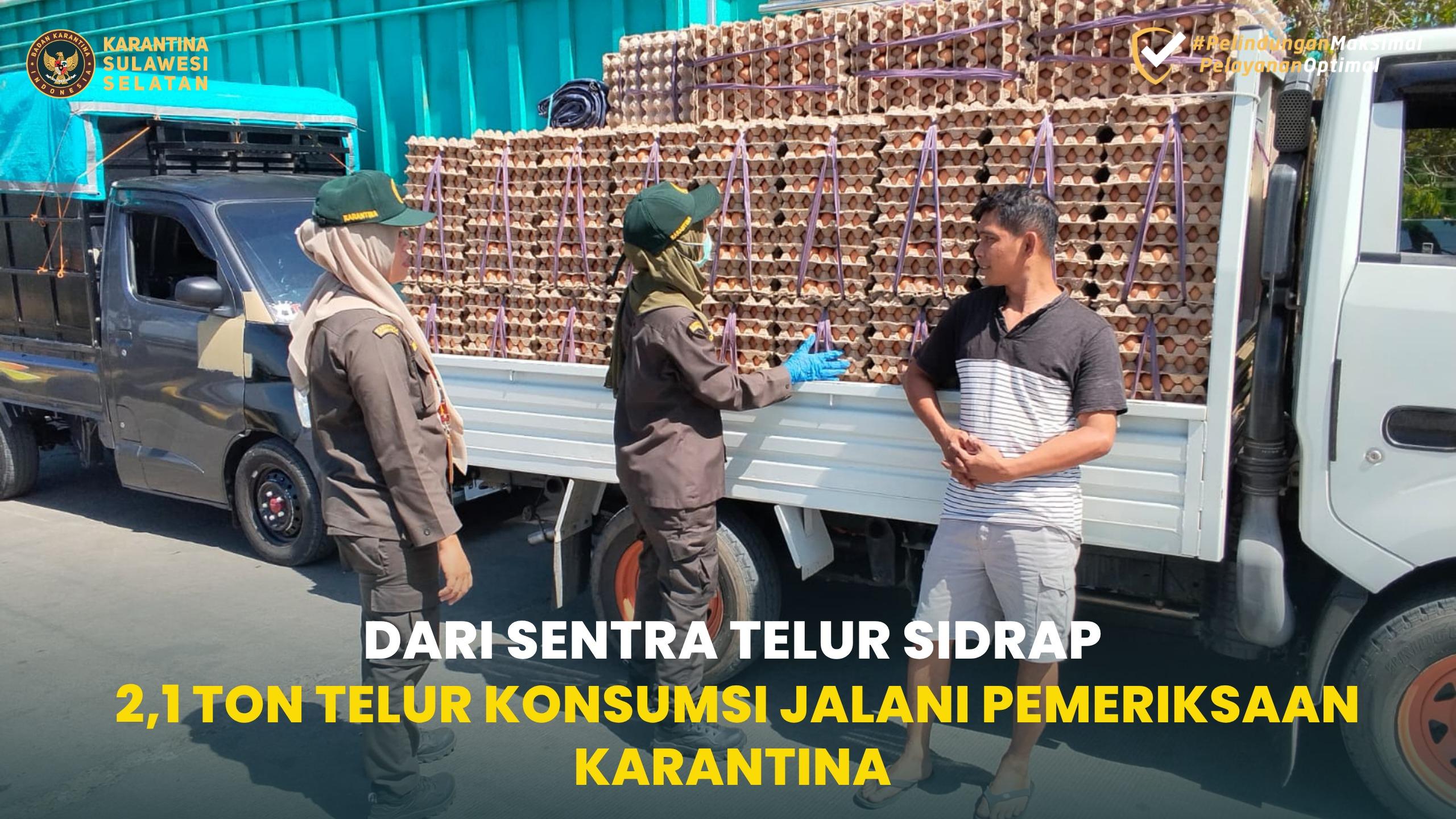 Dari Sentra Telur Sidrap, 2,1 Ton Telur Konsumsi Jalani Pemeriksaan Karantina