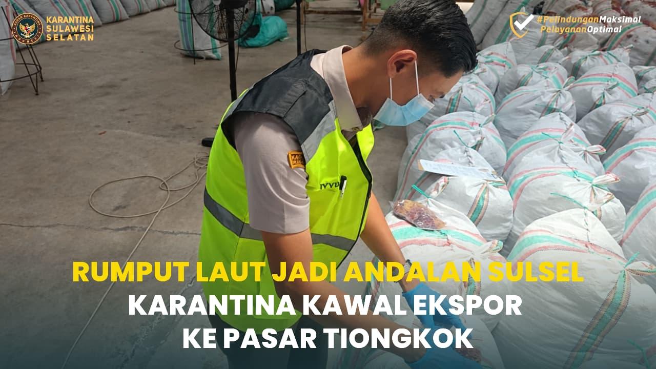 Rumput Laut Jadi Andalan Sulsel, Karantina Kawal Ekspor ke Pasar Tiongkok
