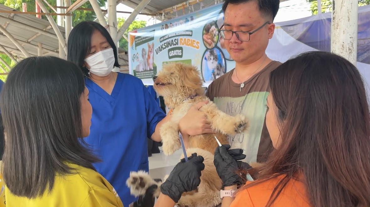 149 Tahun Karantina, 149 Hewan Divaksin Rabies Gratis di Manado