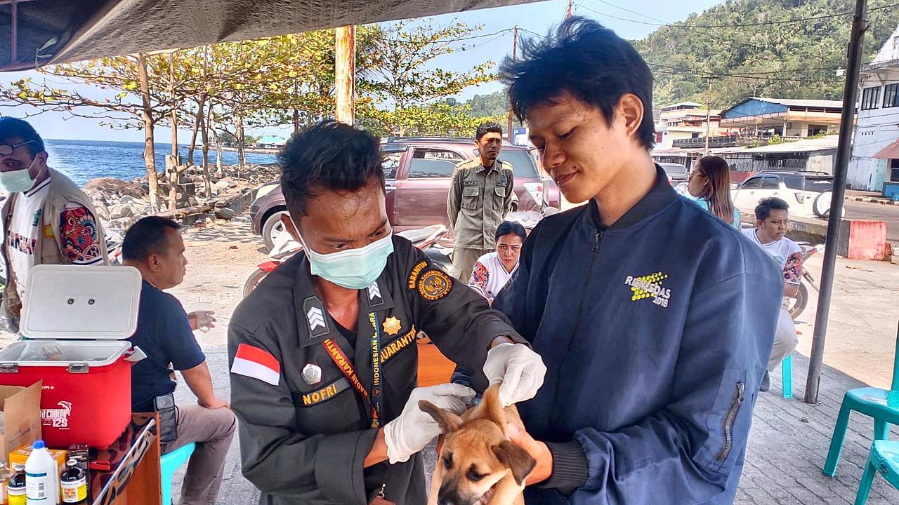Upaya mewujudkan Sulut Bebas Rabies, 43 hewan peliharaan di vaksinasi rabies gratis Di Tahuna