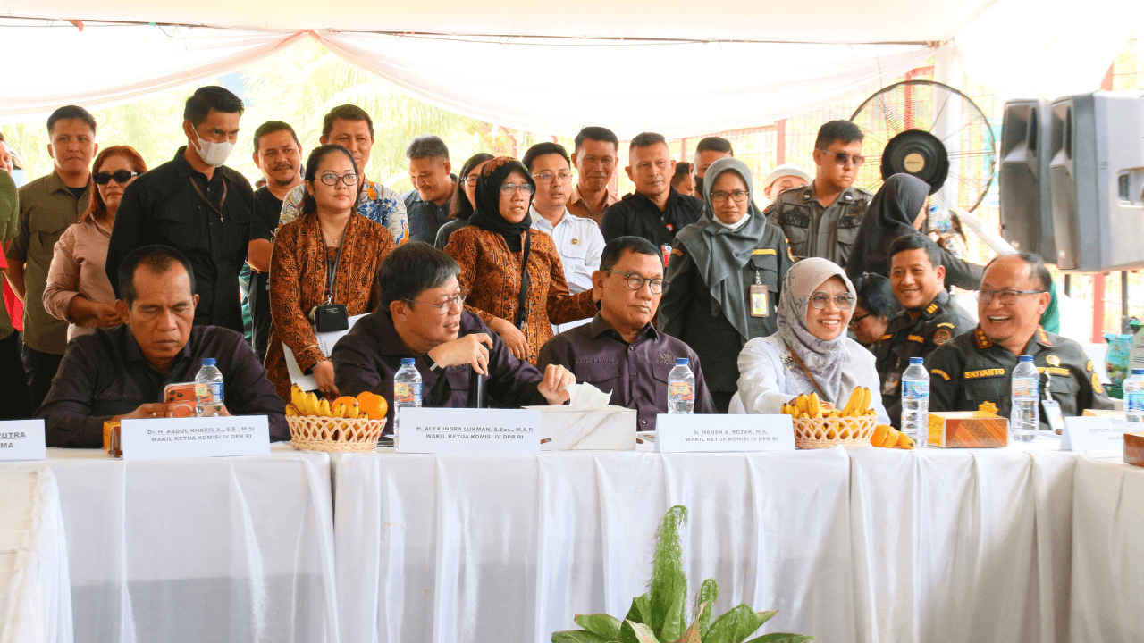 Pulihkan Peternakan Babi Sulawesi Utara Pasca Wabah ASF, Komisi IV dan Barantin Perkuat Breeding-Biosekuriti