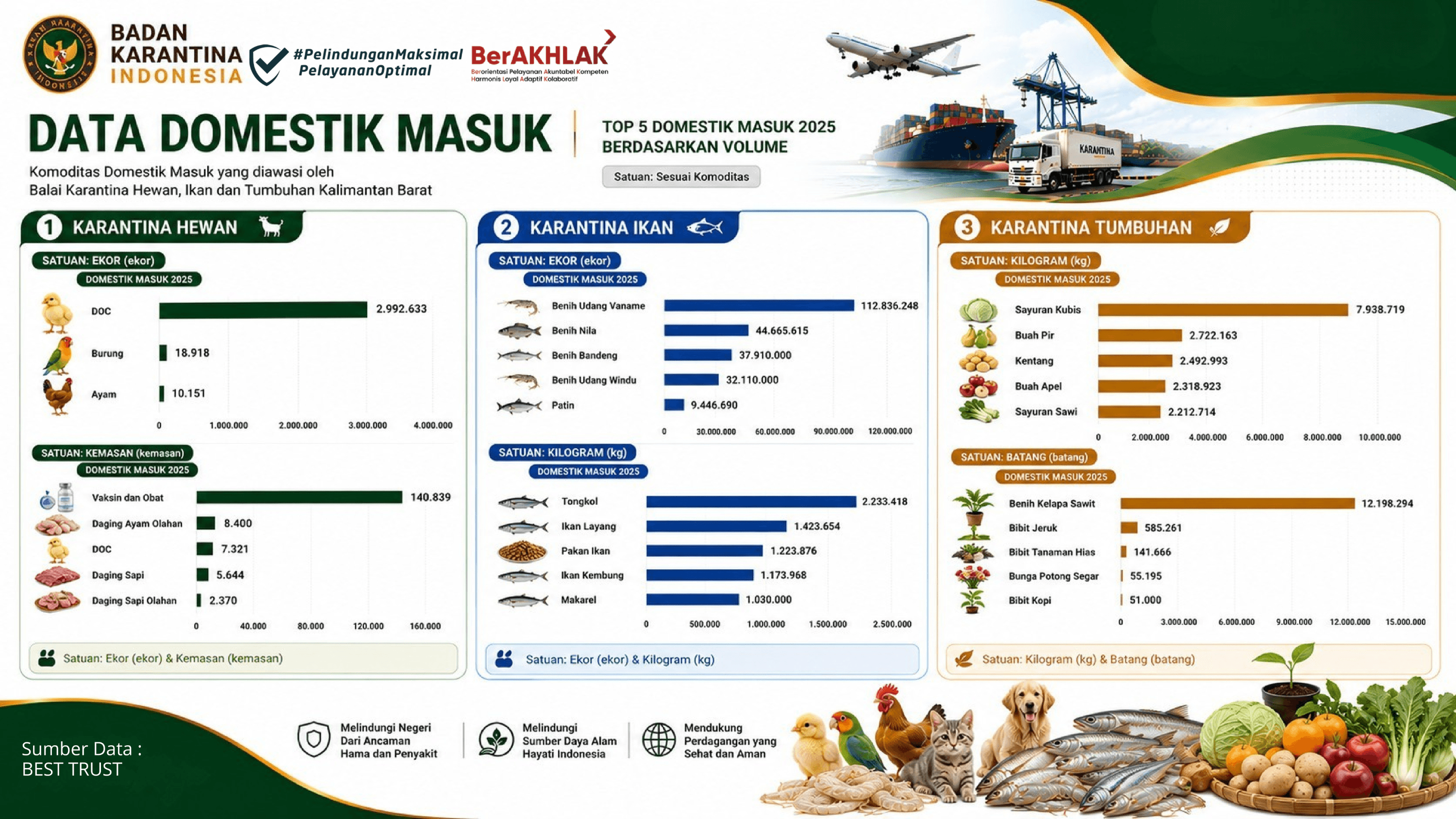 Domestik Masuk 2025-2026