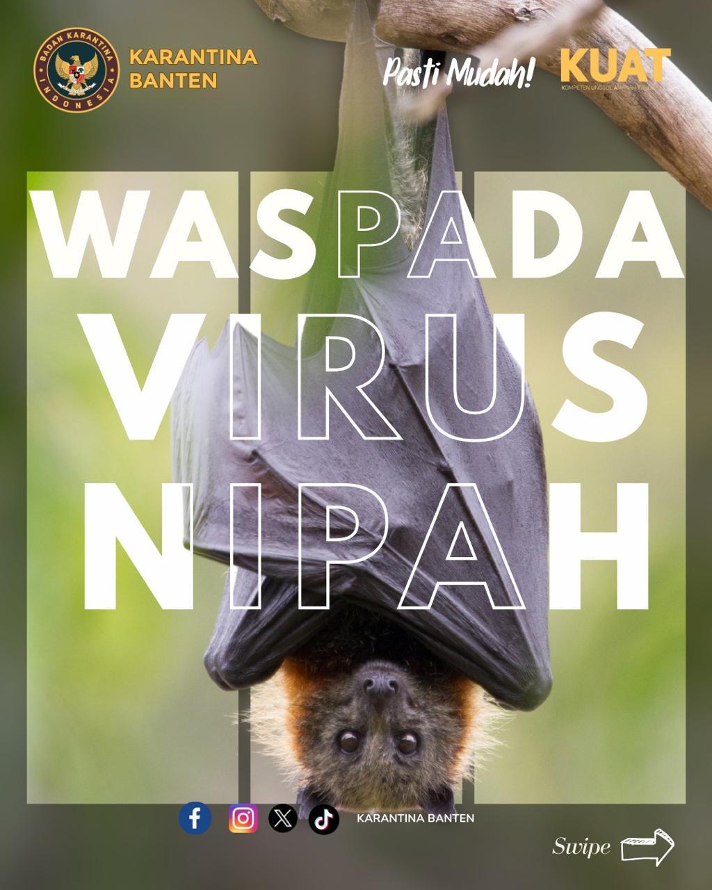 Waspada Virus Nipah