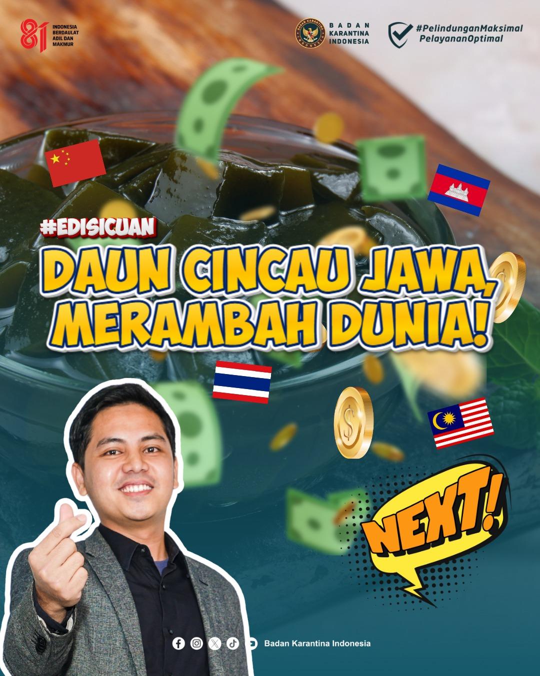 Daun Cincau Jawa Merambah Dunia