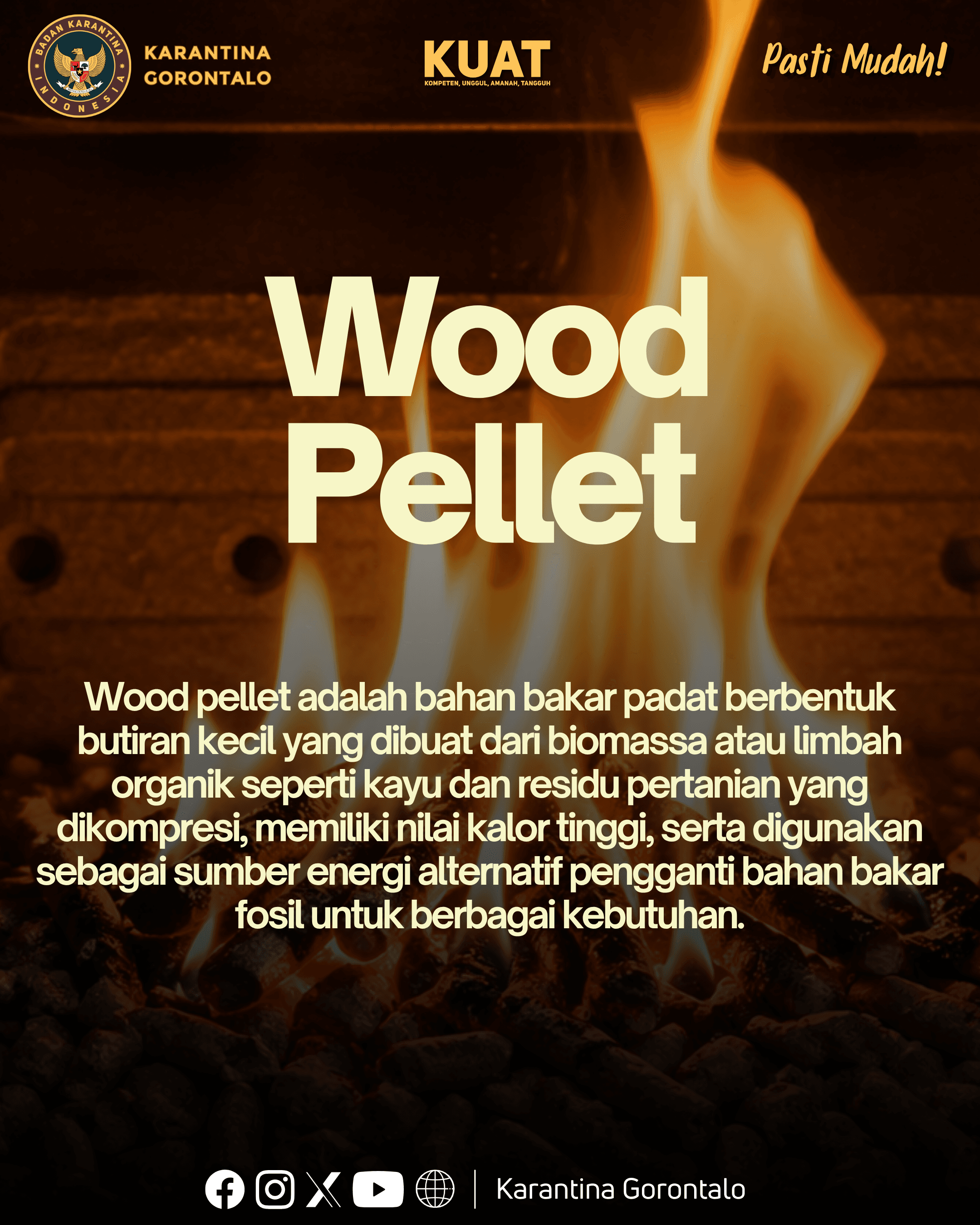 Wood Pellet