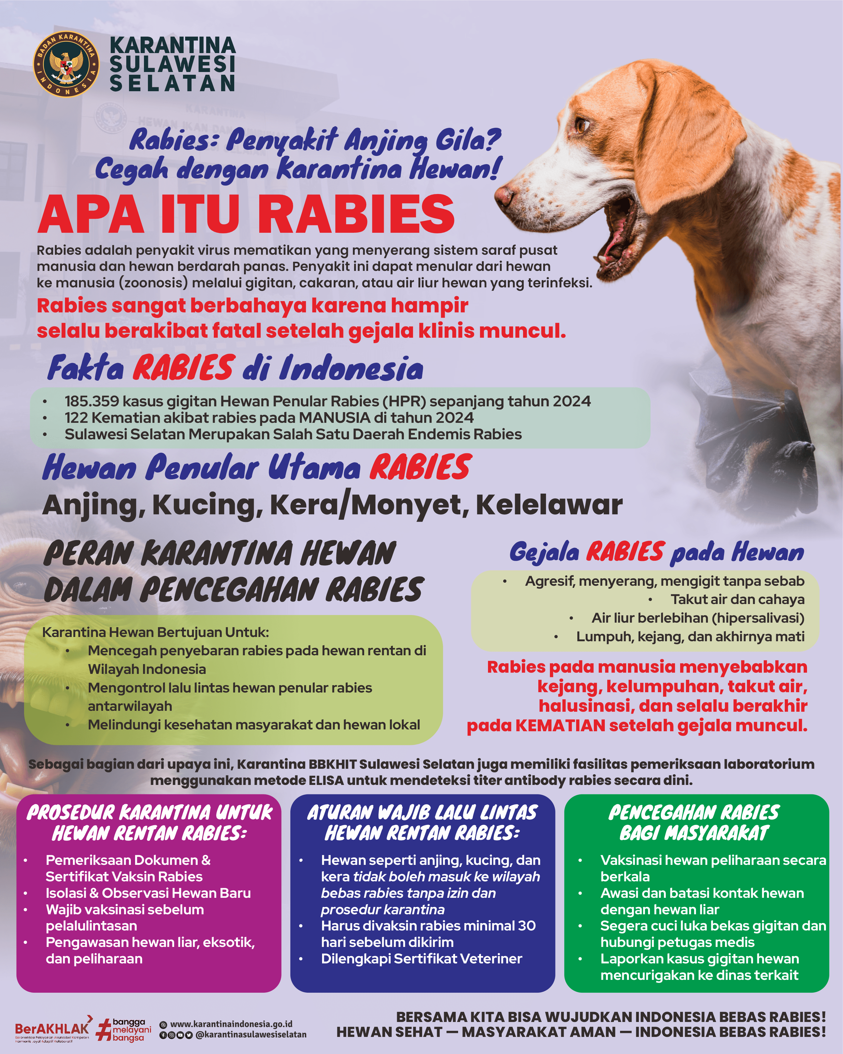 Poster & Flayer Edukasi