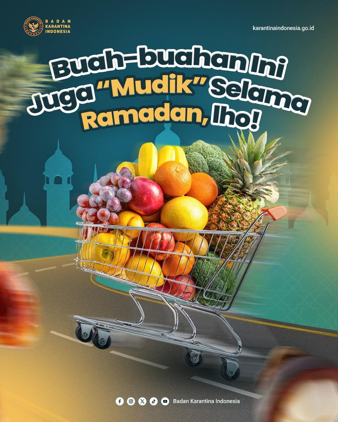 Buah ini juga "MUDIK" selama "RAMADAN"